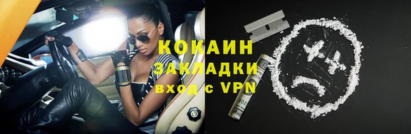 гашик Аркадак