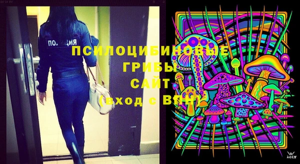 дмт Алексеевка
