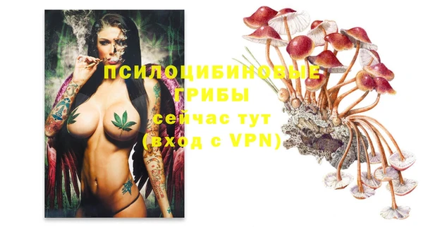 дмт Алексеевка
