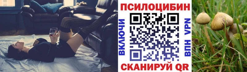 Псилоцибиновые грибы Psilocybe  Мытищи 